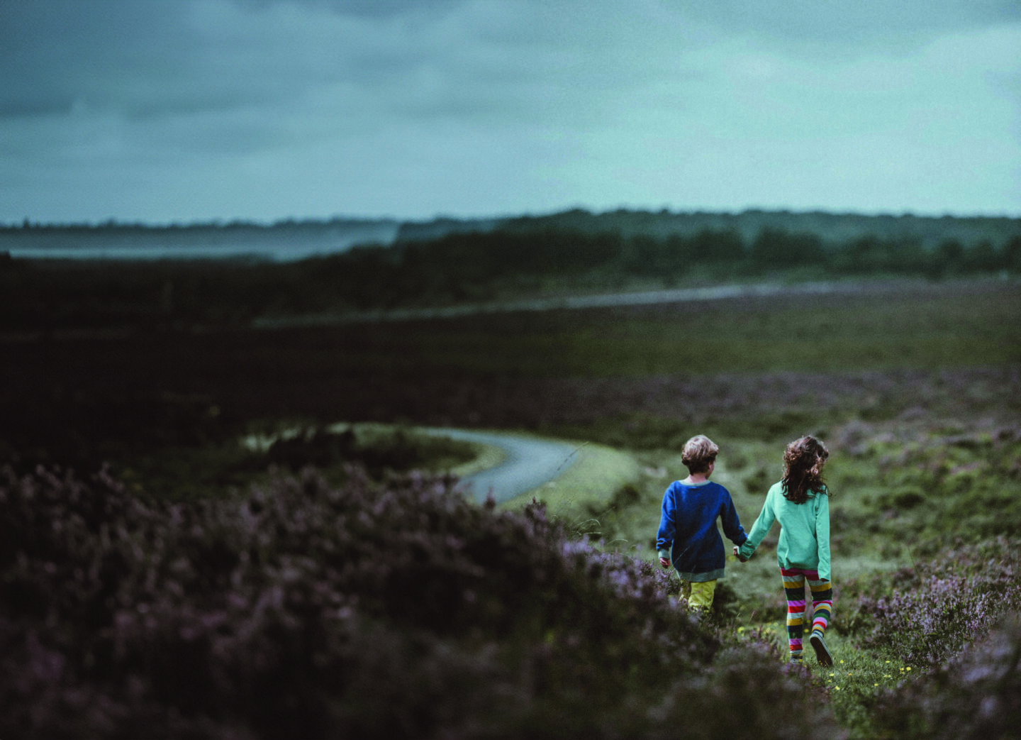 Two children walk hand in hand along a winding path through a field of purple flowers, under a cloudy sky.