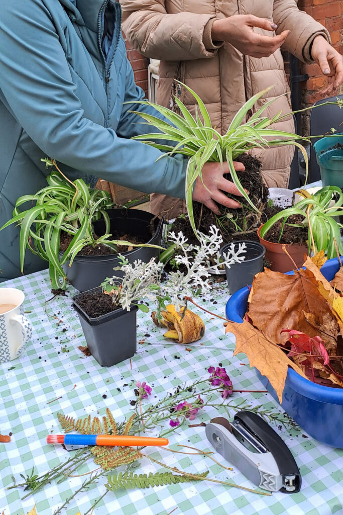 Two people are potting plants at a table covered with a green and white checkered cloth. One person is holding a spider plant, while the other gestures. Various pots, soil, and leaves are scattered across the table. A cup of tea is also visible.