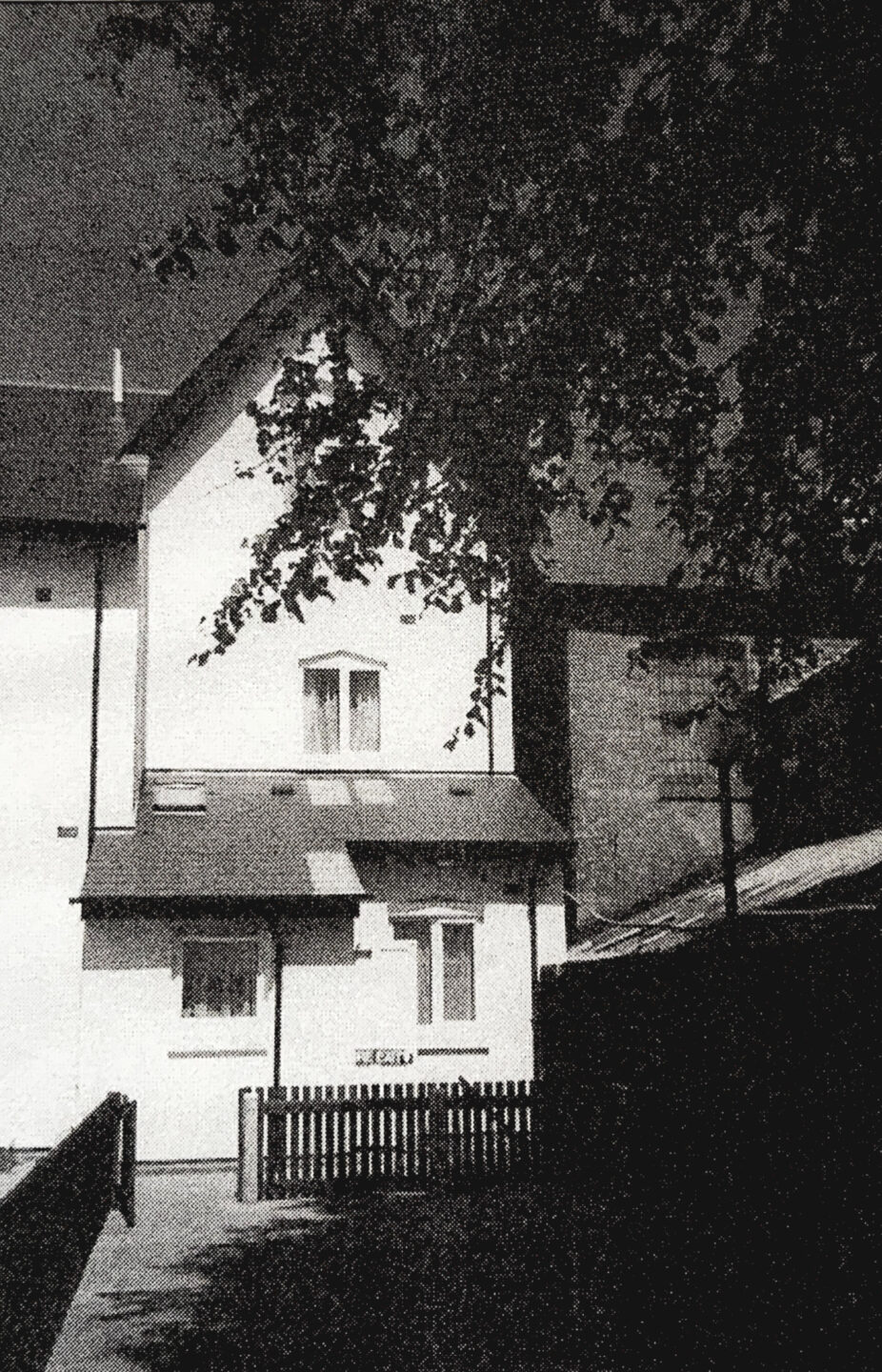 A black-and-white image of the read ofa house with a sloped roof, surrounded by trees and a wooden fence. The house features several windows and is partially shaded.